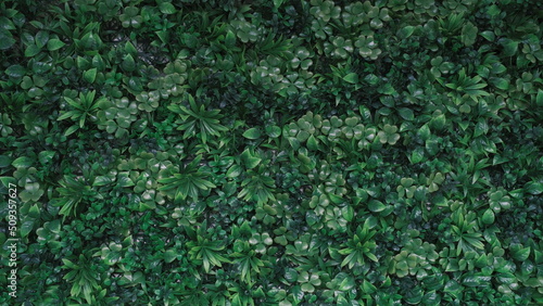 green botanical wall texture