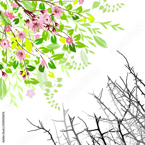 Contrast. Blooming garden and prickly. Vector illustration