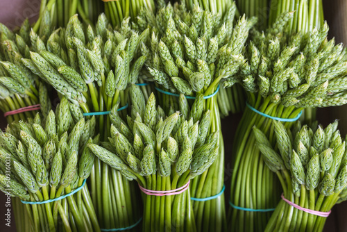 Bunches of wild asparagus display on the market in Arras, France, close up macro photo