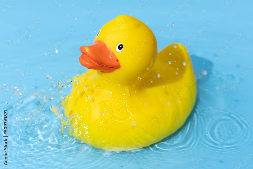 Yellow rubber duck on blue water background with splashing droplets. Leisure time playful concept Yellow rubber duck on blue water background with splashing droplets. Leisure time playful concept