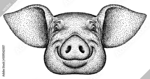 black and white engrave isolated pig vector illustration