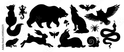 Forest animal silhouette. Wild animal vector. Fox, bear, wolf, rabbit, lynx, owl bird, snake bat. Black shape icon set. Wildlife silhouette isolated illustration. Nature woodland zoo collection symbol