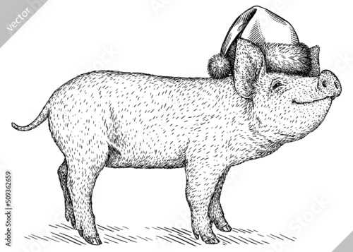Fototapeta Naklejka Na Ścianę i Meble -  black and white engrave isolated pig vector illustration