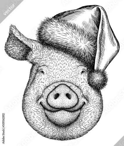 black and white engrave isolated pig vector illustration