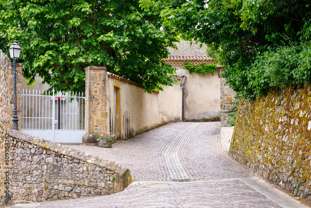 Village médiéval de Ternand, France