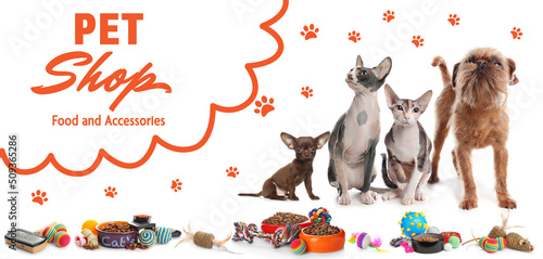 Fototapeta Naklejka Na Ścianę i Meble -  Advertising banner design for pet shop. Cute dogs, cats and different accessories on white background
