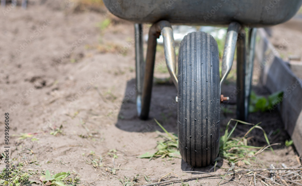 Fototapeta premium Gray metal garden wheelbarrow with two handles and one wheel. The wheelbarrow is in the garden or garden. Gardener's wheelbarrow in the backyard. Garden cleaning.