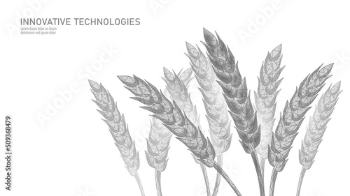 3D wheat ears grain. World food Day hunger awareness. Help charity food help global international refugees vector illustration