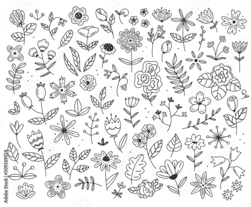 A large set of different flowers and plants in a simple linear doodle style. Vector isolated floral illustration.