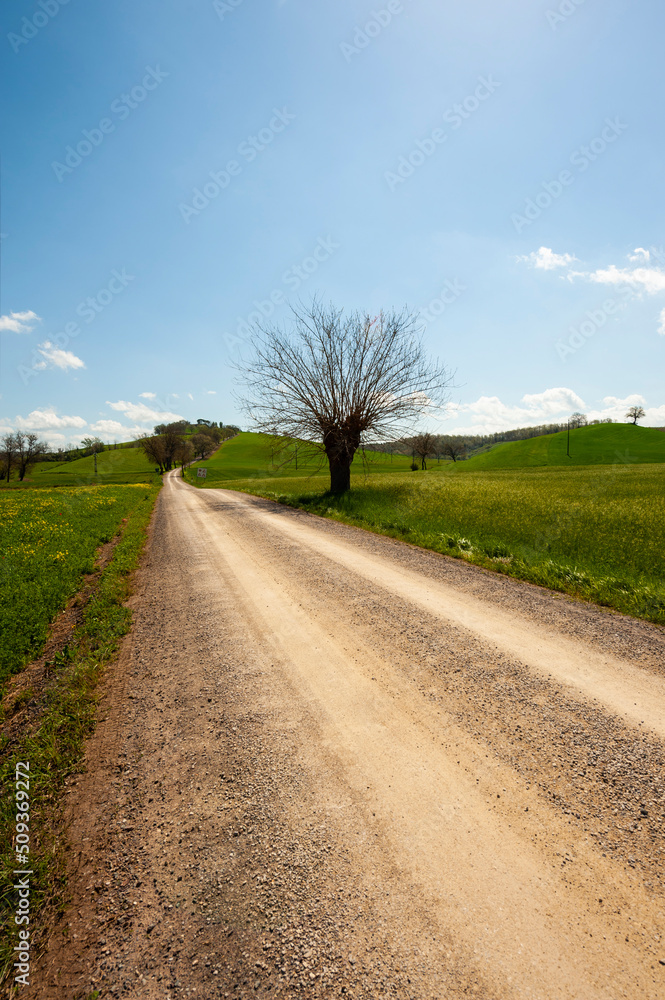 Agritourism in the hills of Tuscany