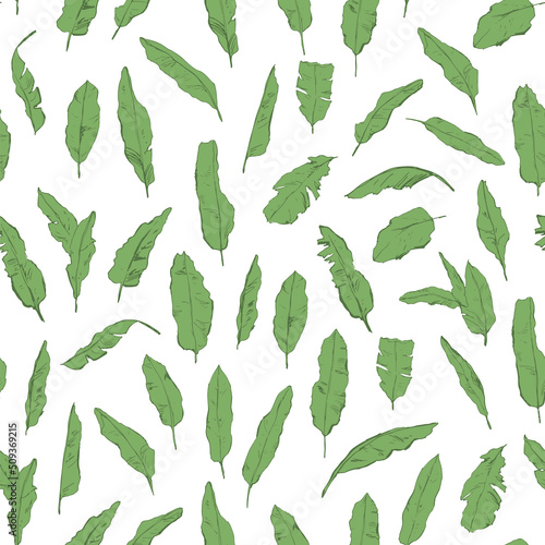Banana palm leaves vector seamless pattern © GooseFrol