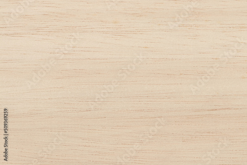 Plywood surface in natural pattern with high resolution. Wooden grained texture background.