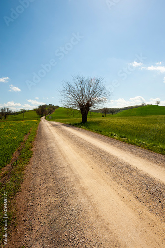 Agritourism in the hills of Tuscany © George