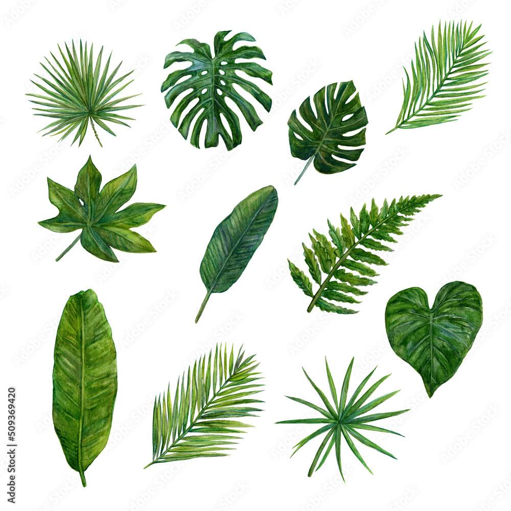 Palm leaves watercolor seamless pattern Palm leaves watercolor seamless pattern