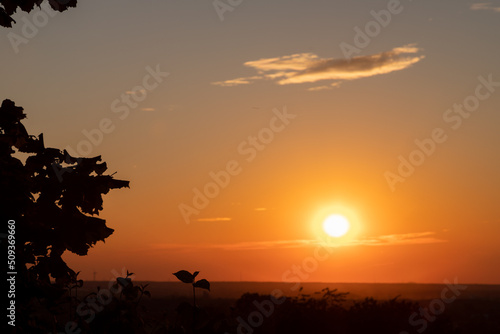 An amazing African sunset over the rolling hills of south Limburg  with the sun as a yellow ball of fire and an orange sky with a few fluffy clouds for some contrast in the sky