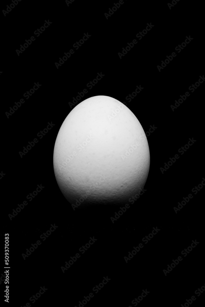 egg on black egg on black