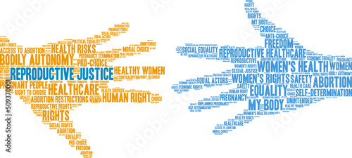 Reproductive Justice Word Cloud on a white background.  photo