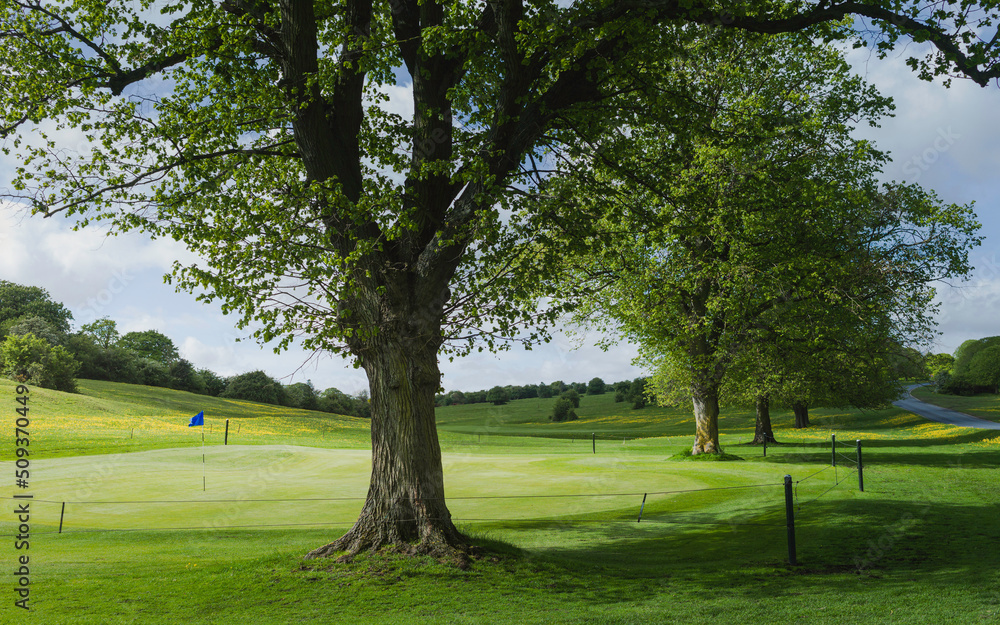 The Westwood parkland with view of golf putting green, trees, and landscap in spring. Beverley, UK.
