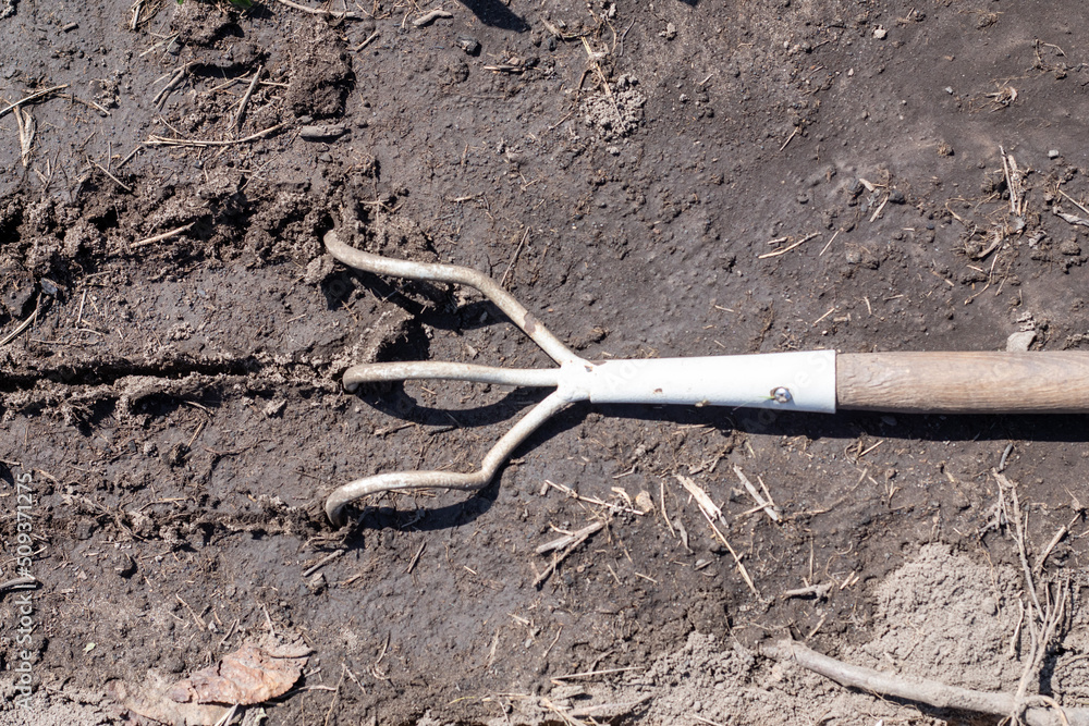 A small dusty rake used in home gardens. Garden tools for gardening and care of plants at home and in the garden. Spring or summer garden work. Dig up a piece of land among the weeds. A small dusty rake used in home gardens. Garden tools for gardening and care of plants at home and in the garden. Spring or summer garden work. Dig up a piece of land among the weeds.