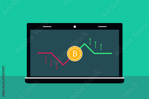 Graph of the decline and rise of the Bitcoin NFT, on a laptop.