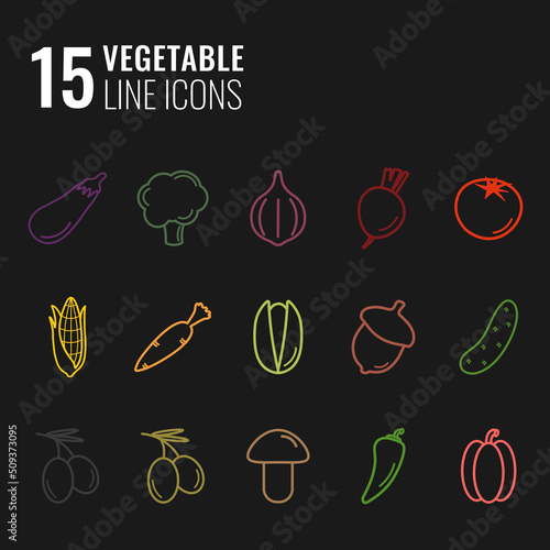 15 vegetable line icons on black background with eggplant  broccoli  onion  tomato  mushroom  cucumber  carrot  pepper  olive  beet. Vector illustration design