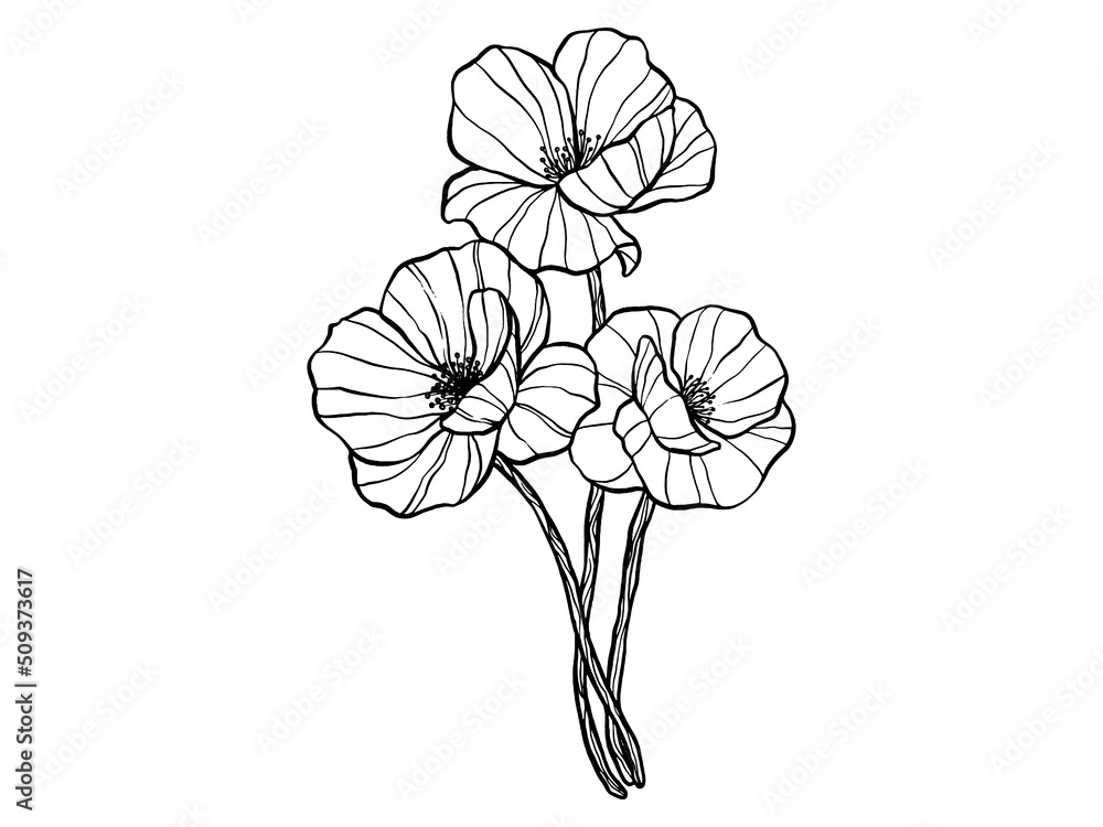 Obraz premium hand-drawn floral elements, plants and flowers. Isolated branches on a white background. Sketchy elements of design. Vector illustrations.