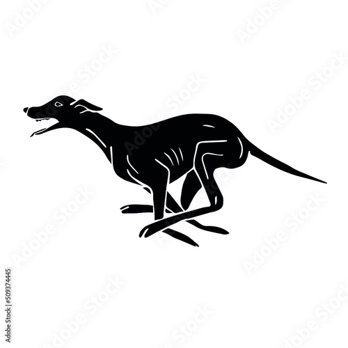 Vector hand drawn doodle sketch black running whippet dog isolated on white background