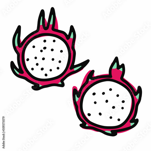 Doodle ripe dragon fruit. Pink, green pitahaya isolated on white background. Hand-drawn Pitaya fruit. Symbol of summer, healthy raw food, exotic food. Fresh cute tropical print. Vector illustration