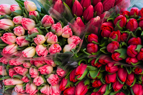 Assortment of bright tulip flowers as background, closeup