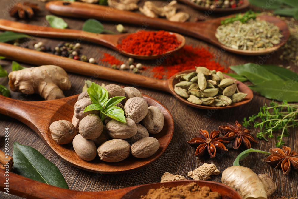 Different herbs and spices with spoons on wooden table, closeup Different herbs and spices with spoons on wooden table, closeup