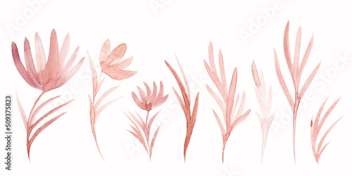 Set of watercolor flowers and plants. Burnt sienna color. Monochrome illustration isolated on white background