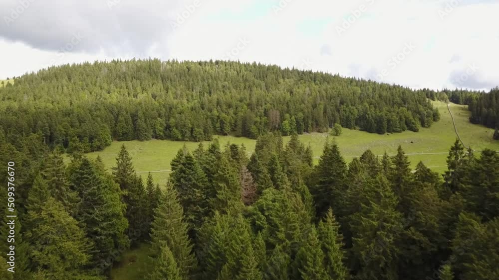 View of a fir tree forest on a small mount. aerial shot, jura, Switzerland View of a fir tree forest on a small mount. aerial shot, jura, Switzerland