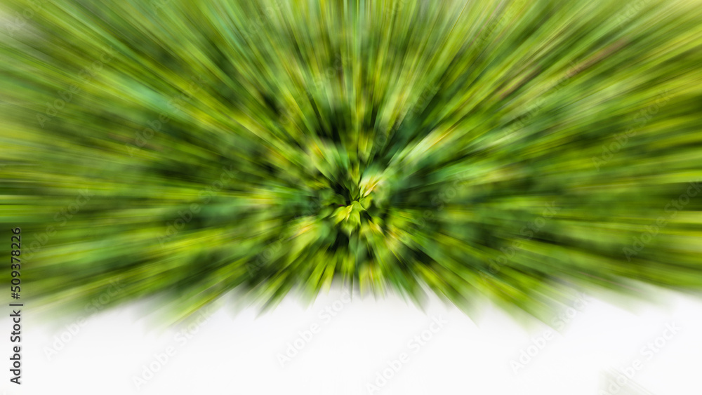 The abstract background radial blurs a cluster of many brilliant green leaves.