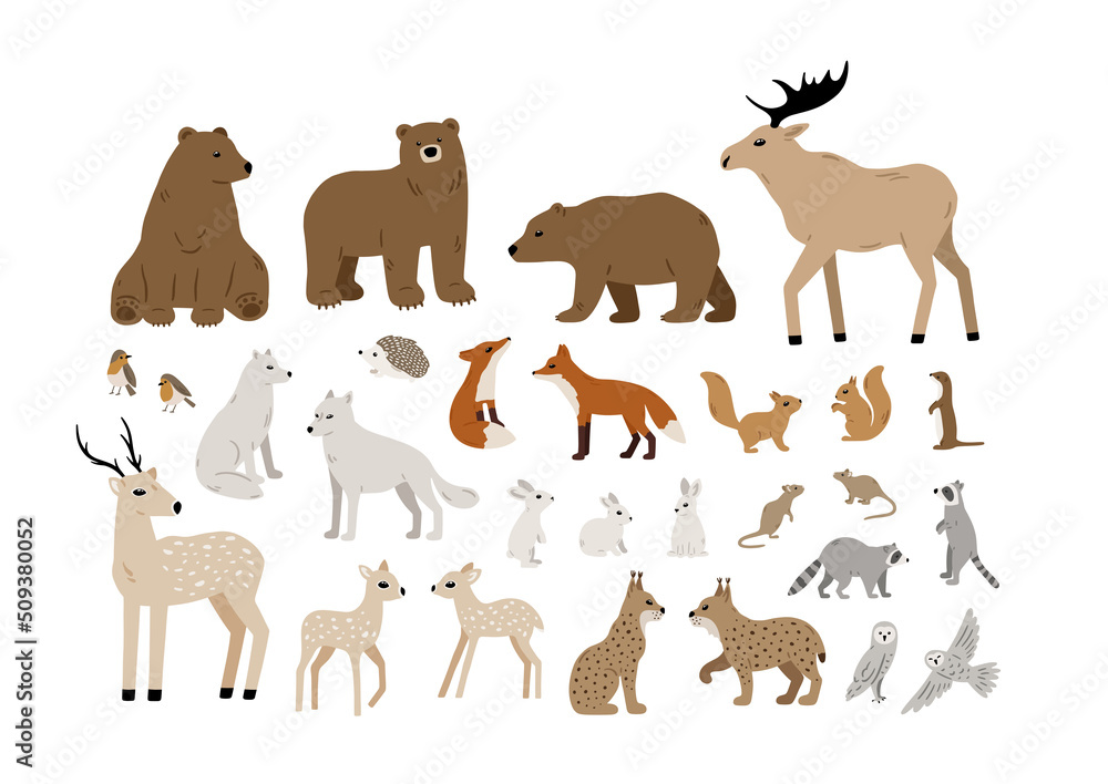 Big vector set of forest animals: bear, deer, wolf, fox, lynx, squirrel, moose, owl, rabbit, raccoon. Hand drawn woodland animal collection. Cute wild characters. Vector illustration