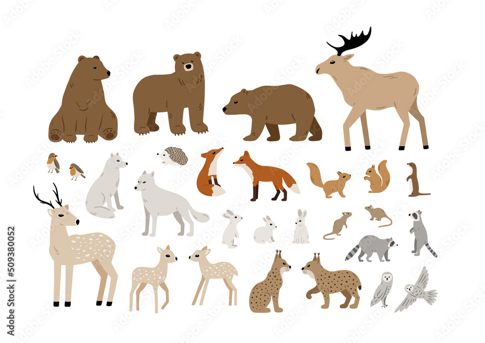 Big vector set of forest animals: bear, deer, wolf, fox, lynx, squirrel, moose, owl, rabbit, raccoon. Hand drawn woodland animal collection. Cute wild characters. Vector illustration Big vector set of forest animals: bear, deer, wolf, fox, lynx, squirrel, moose, owl, rabbit, raccoon. Hand drawn woodland animal collection. Cute wild characters. Vector illustration