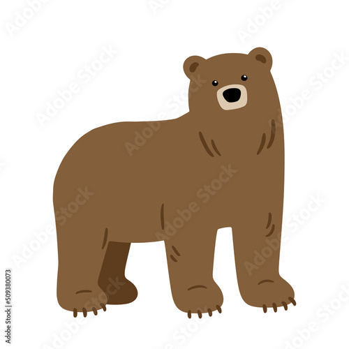 Hand drawn illustration with brown bear. Cute adorable forest character. Vector lovely bear in flat style isolated on white background. Cartoon woodland creature. Childish illustration