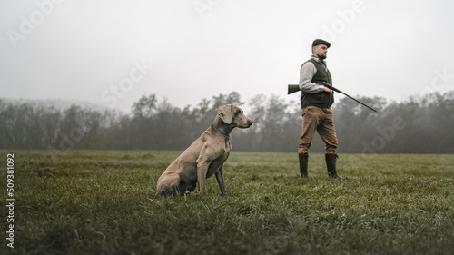 Hunter man with dog in traditional shooting clothes on field holding shotgun. © Halfpoint