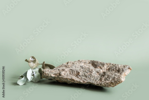 Fototapeta Naklejka Na Ścianę i Meble -  Natural gray stone stand for presentation and exhibitions on pastel green background. Abstract podium for organic cosmetic products with green leaves. Minimal style. Selective focus