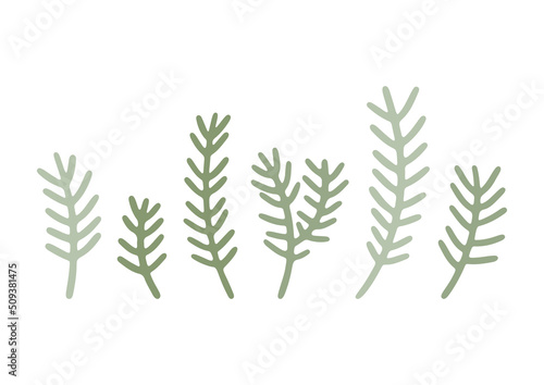 Hand drawn cartoon forest greenery. Cute floral elements isolated on white background. Abstract woodland grass and foliage in flat style. Botanical vector illustration