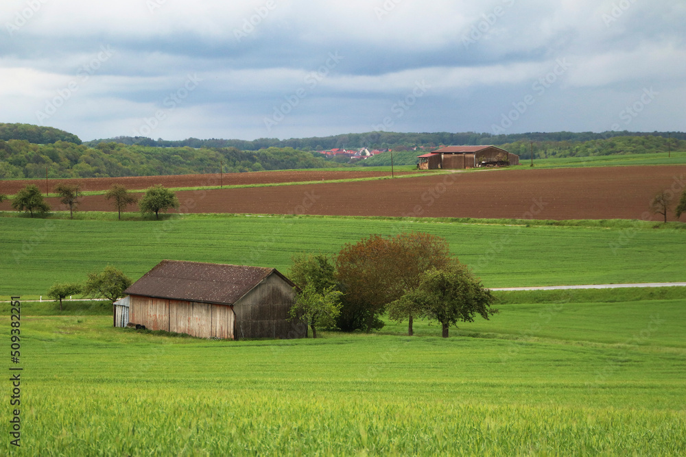 A tree and a hut in a agricultural field in Hohenlohe, Germany, Europe A tree and a hut in a agricultural field in Hohenlohe, Germany, Europe