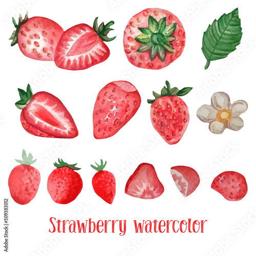 Watercolor set of hand painted strawberries and green leaves. Watercolor stain. Vector illustration.