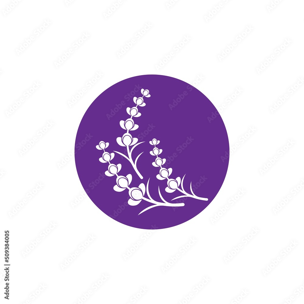 Obraz premium Fresh Lavender flower logo vector