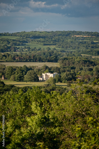 View of Duncan and Petworth  West Sussex