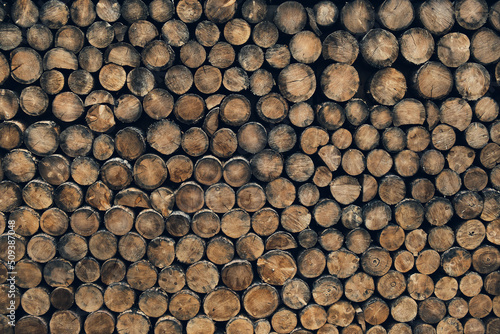 Pile stacked natural sawn wooden logs  background