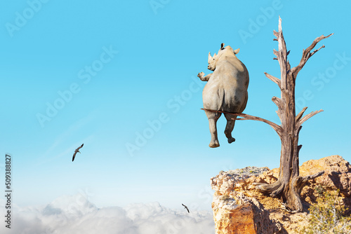 Rhinoceros sit on old tree over the abyss  from behind