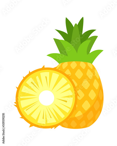 Pineapple Tropical Fruit. Vector illustration