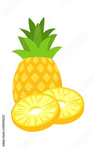 Pineapple Tropical Fruit. Vector illustration