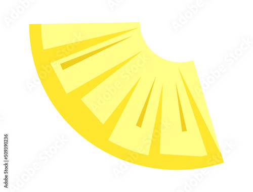 Pineapple Slice Tropical Fruit. Vector illustration