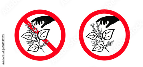 Stop don't pick or pluck the Fallopia japonica or Polygonaceae, Asian,or Japanese knotweed. Medicinal plant logo or pictogram Cartoon vector plucking icon or symbol. Plant with leaves and flower