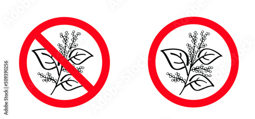 Stop don't pick or pluck the Fallopia japonica or Polygonaceae, Asian,or Japanese knotweed. Medicinal plant logo or pictogram Cartoon vector plucking icon or symbol. Plant with leaves and flower